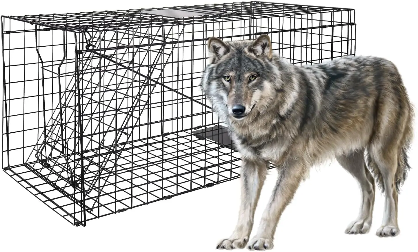 Live Animal Trap Cage, 51 X 19 X 17inch Catch and Release Humane Live Trap Cage Indoor Outdoor Foldable Trap Cage