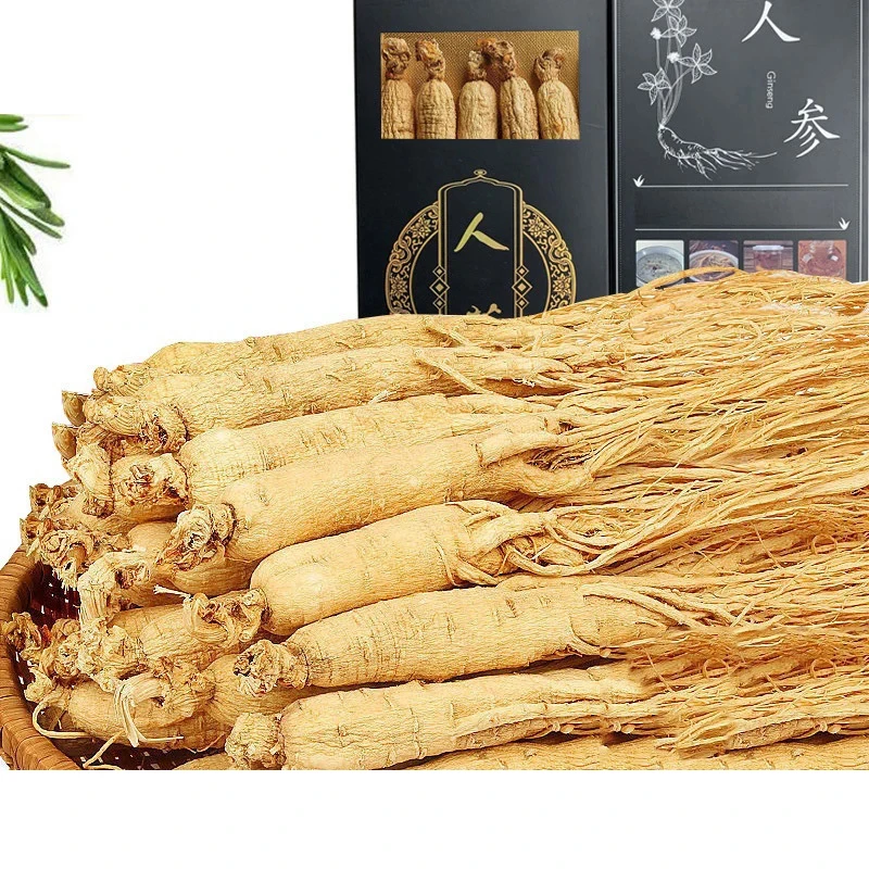 Raíces Secas de Ginseng Blanco para Belleza, Salud, Jabón, Perfume para el Hogar, Velas DIY para Bodas