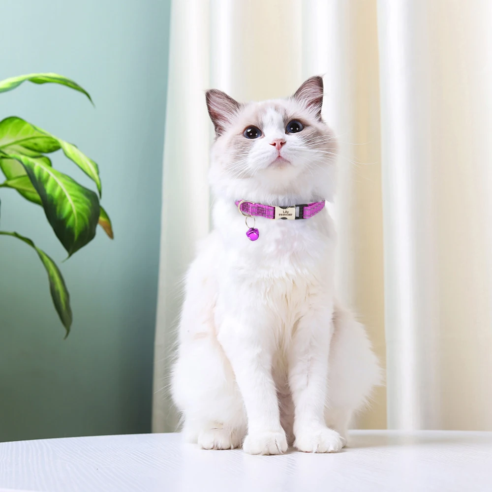 Eingraviert Individuelles Katze Kragen Reflektierende Kätzchen Welpen Halsbänder mit Glocke Personalisierte Pet Katzen Kragen Halskette Zubehör 1cm Breite – Detail 22