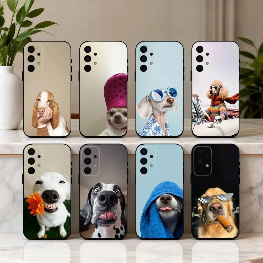 F-Funny A-Animal D-…