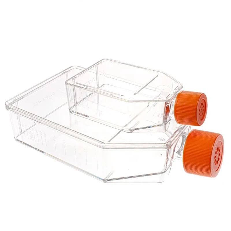 

Cell culture bottle, 25c㎡ 75c㎡Cell Culture Flask, With vented cover, No Enzyme No Heat Source，10Pcs/5Pcs