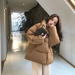 Y2K Stand-Up Collar Puffer Parkas Woman Winter Korean Single Breasted Thicken Warm Jacket Mujer Cotton-Padded Loose Parkas Coat
