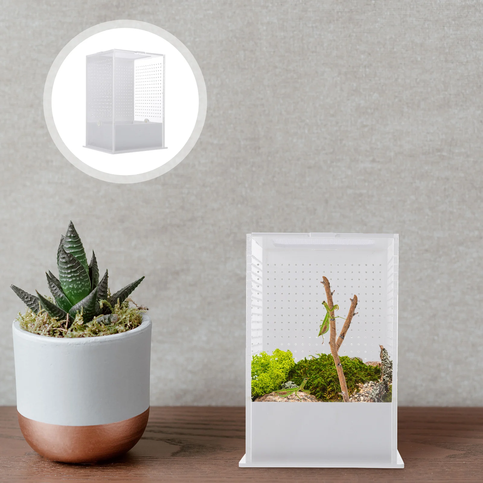 

1Pcs Insect Rearing Box Mantis Breeding Container Clear Acrylic Habitat with Good Ventilation for Small Reptiles and Bugs