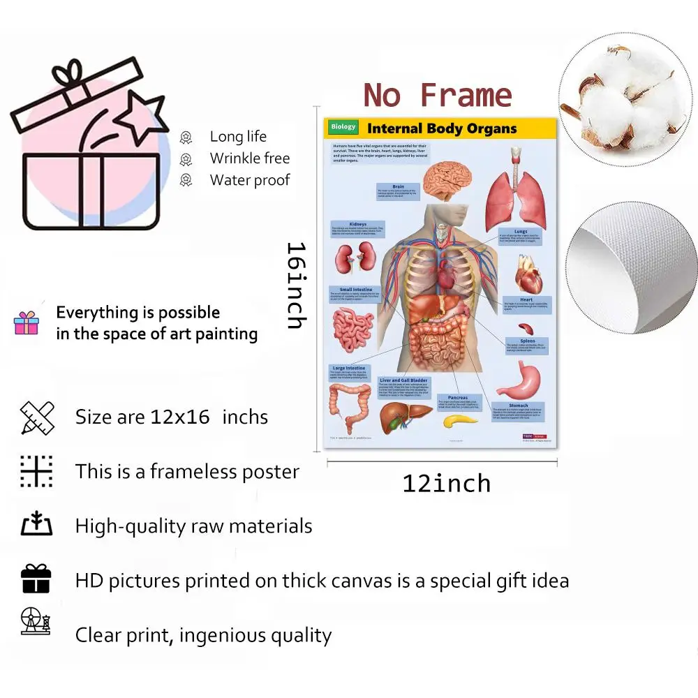 ملصق قماشي لهيكل جسم الإنسان، خالٍ من التجاعيد، مقاوم للماء، متين، ديكور جداري مثالي للمنزل، جميع المساحات #5