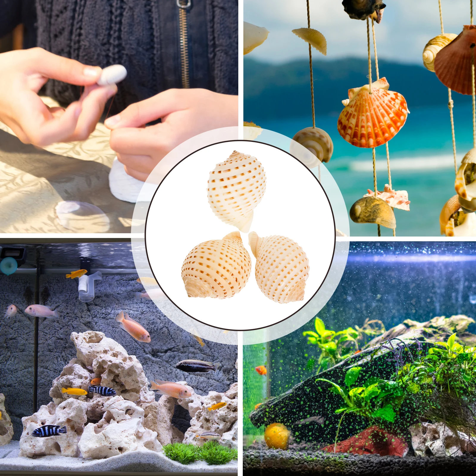 

3Pcs Creative Conch Aquarium Decoration Natural Craft Decorative Fish Tank DIY Adorn Shell and Conch Landscaping