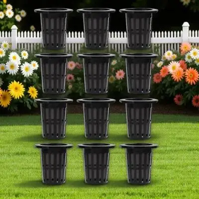 50Pcs Hydroponic Plant Net Pot Plastic Mesh Basket for Soilless Growing Aeration Drainage Healthy Root Development Hydroponics