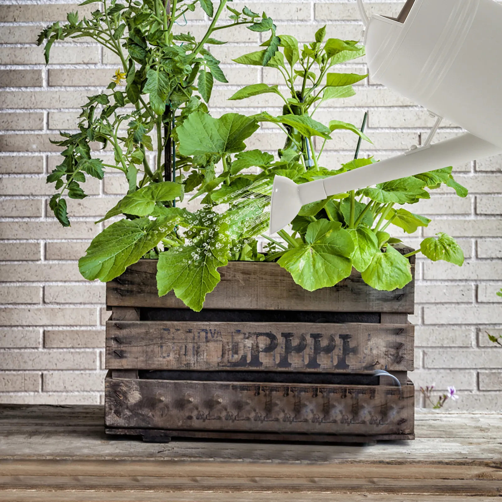 

Watering Pot Long Spout Stainless Steel Plastic Large Capacity For Indoor Outdoor Plants Portable Garden Watering Bottle