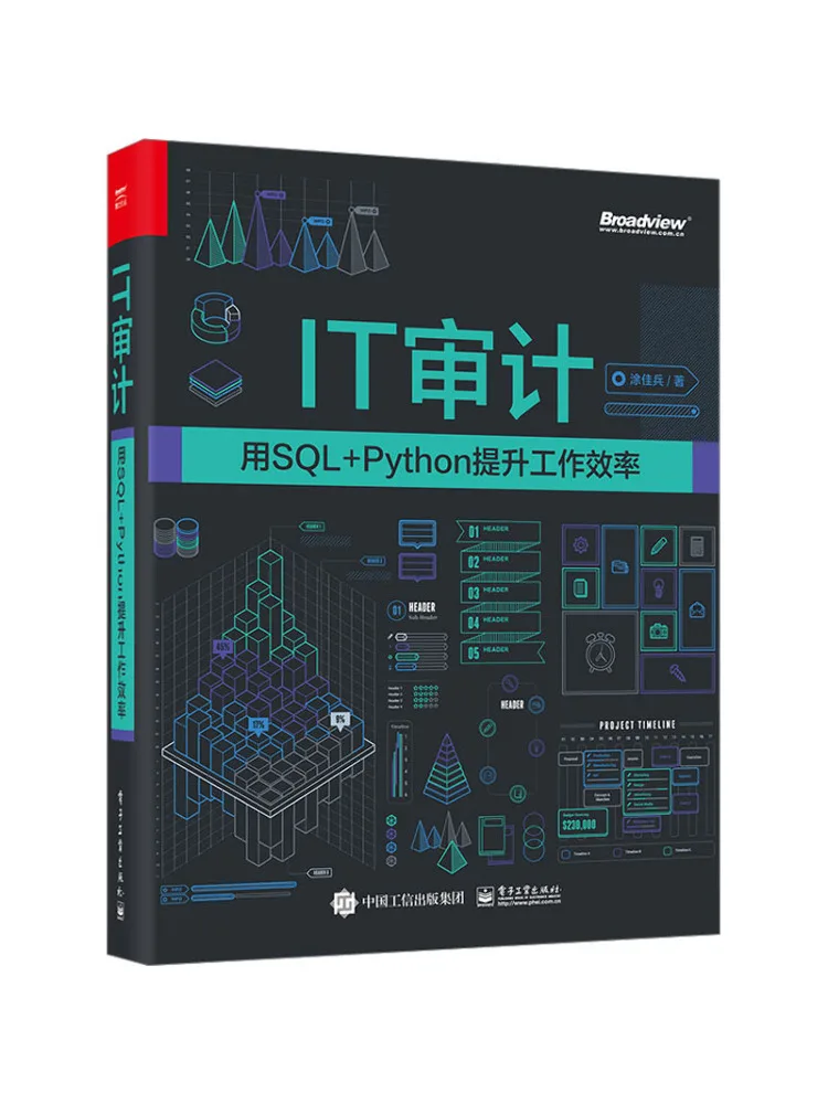 Book-Winshare It Audit Boost Work Efficiency With Sql Python
