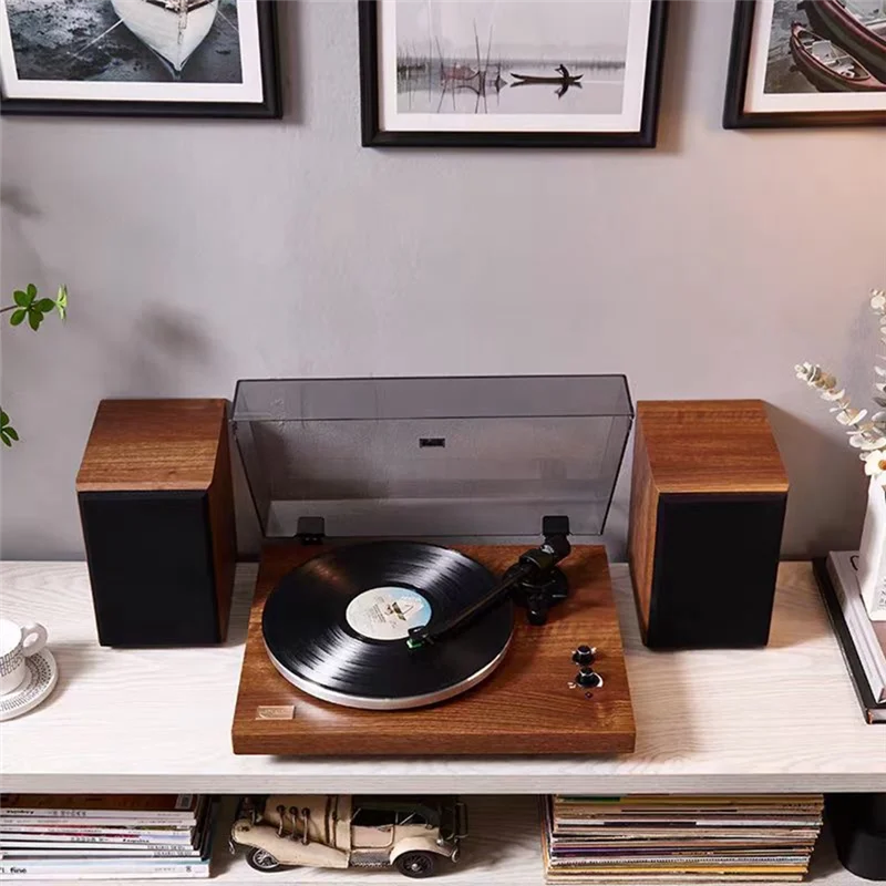 AA60-Plattenspieler Magnetische Patrone Stylus Nadel Für Plattenspieler LP Plattenspieler Grammophon Phonograph Zubehör