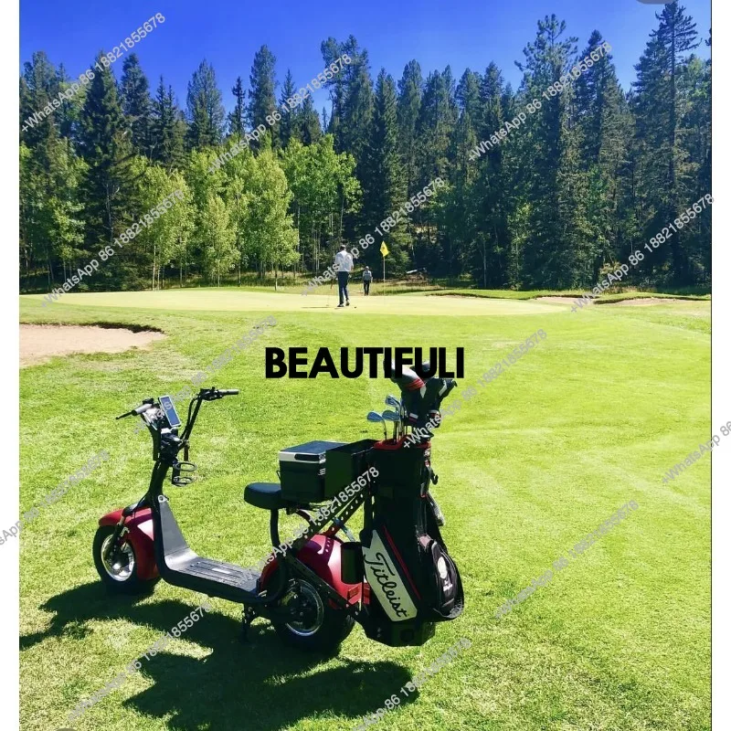 australia market High Chassis manufacture with storage space at back Cheap Price High quality wholesale golf carts for sa