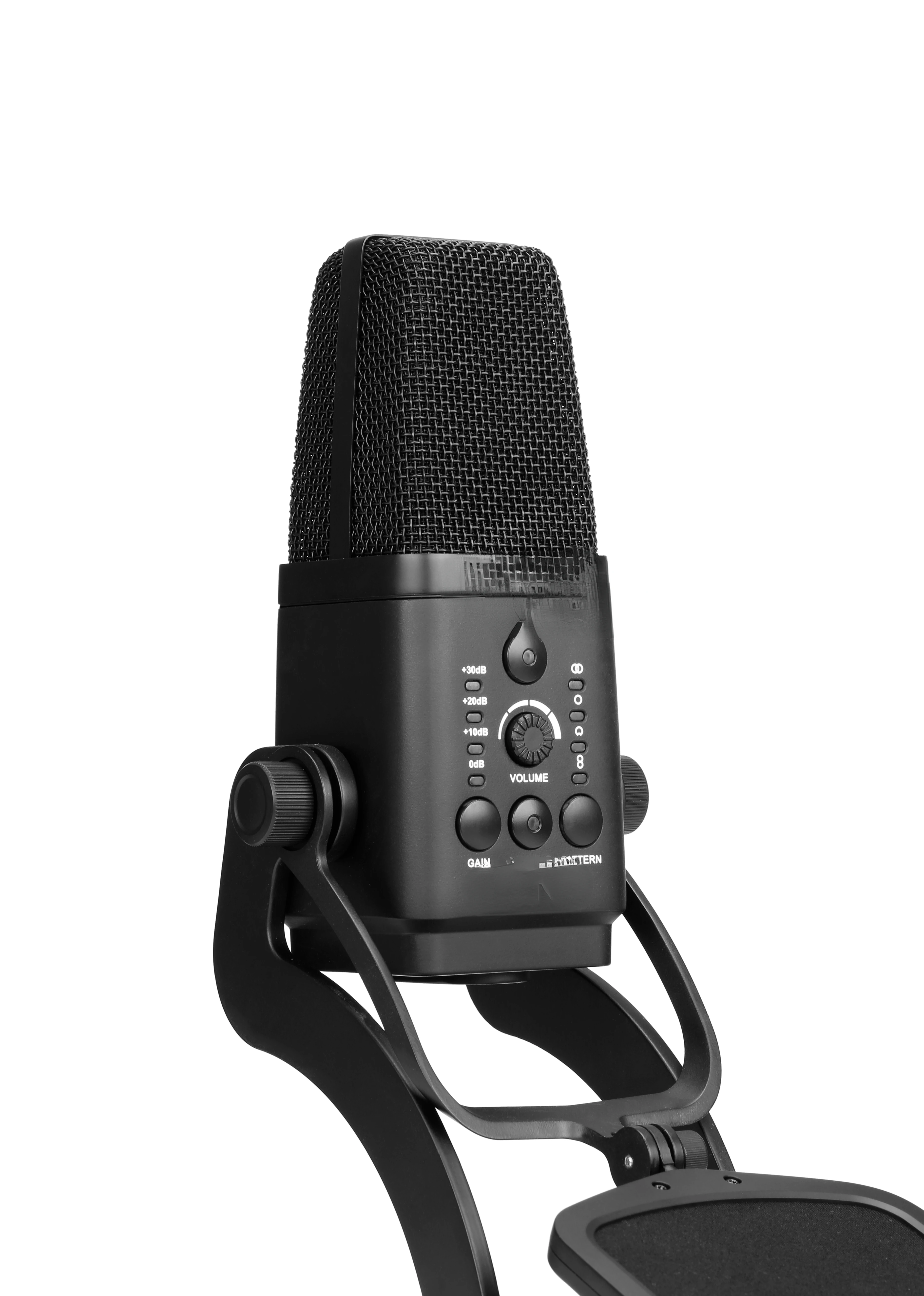 

Многообразный Конденсаторный Микрофон XLR и USB