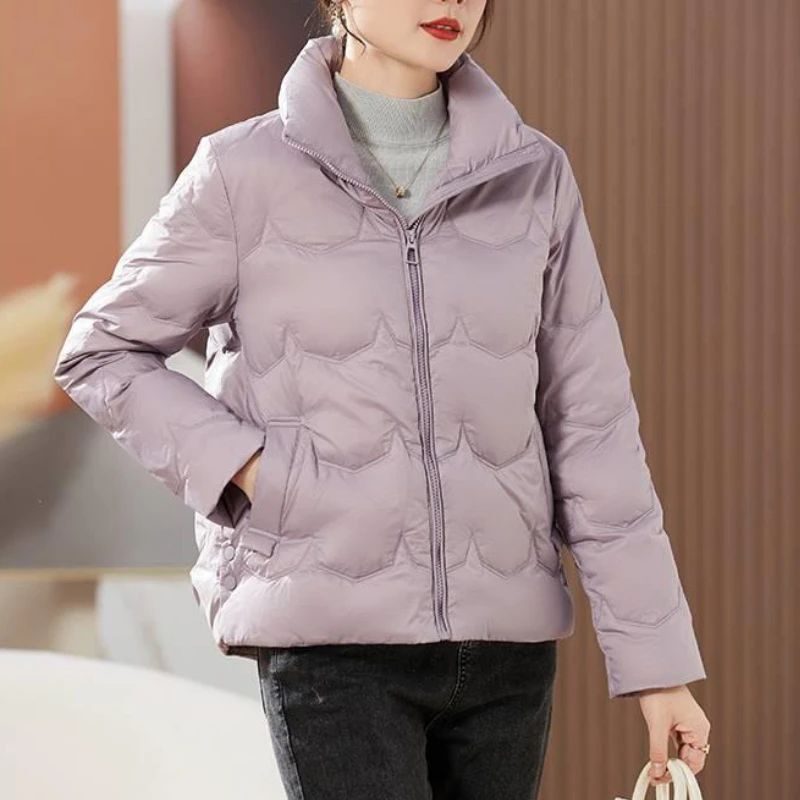 Women's Stand-up Collar Puffer Jacket, Thick Warm Outerwear, Simple Elegant Casual, Stylish Short Down Jackets, Winter Coat