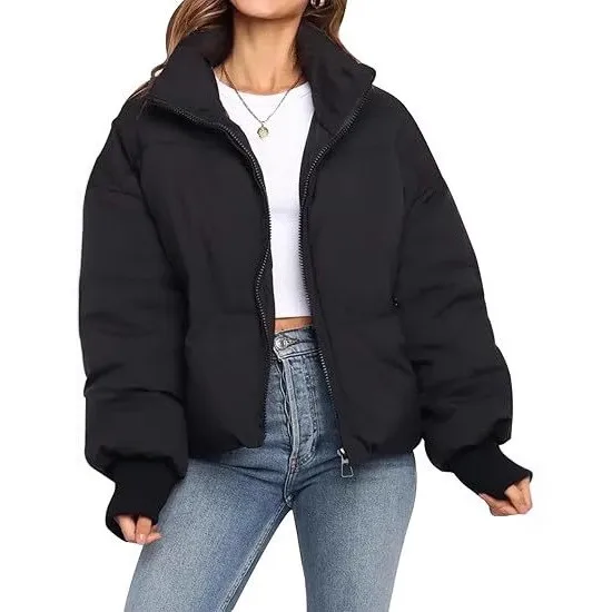 No Hood Loose Fit Coat with Stand Collar Zipper Closure Japanese Korean Casual Regular Length Minimalist Autumn Women Jacket