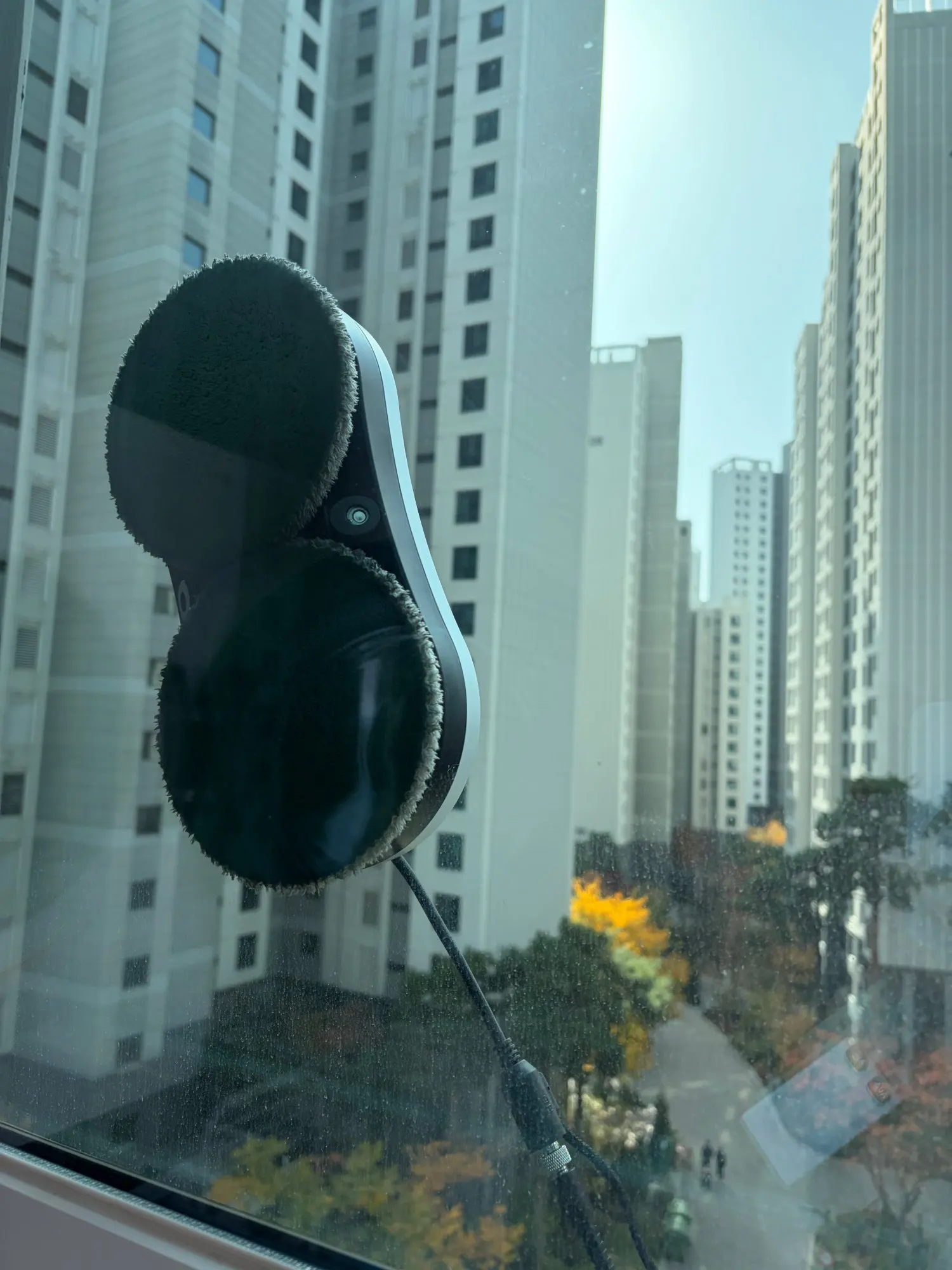 리뷰 사진