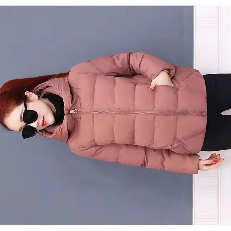 

This year's popular anti season clearance large size Korean version loose and slimming versatile solid color hooded cotton jacke