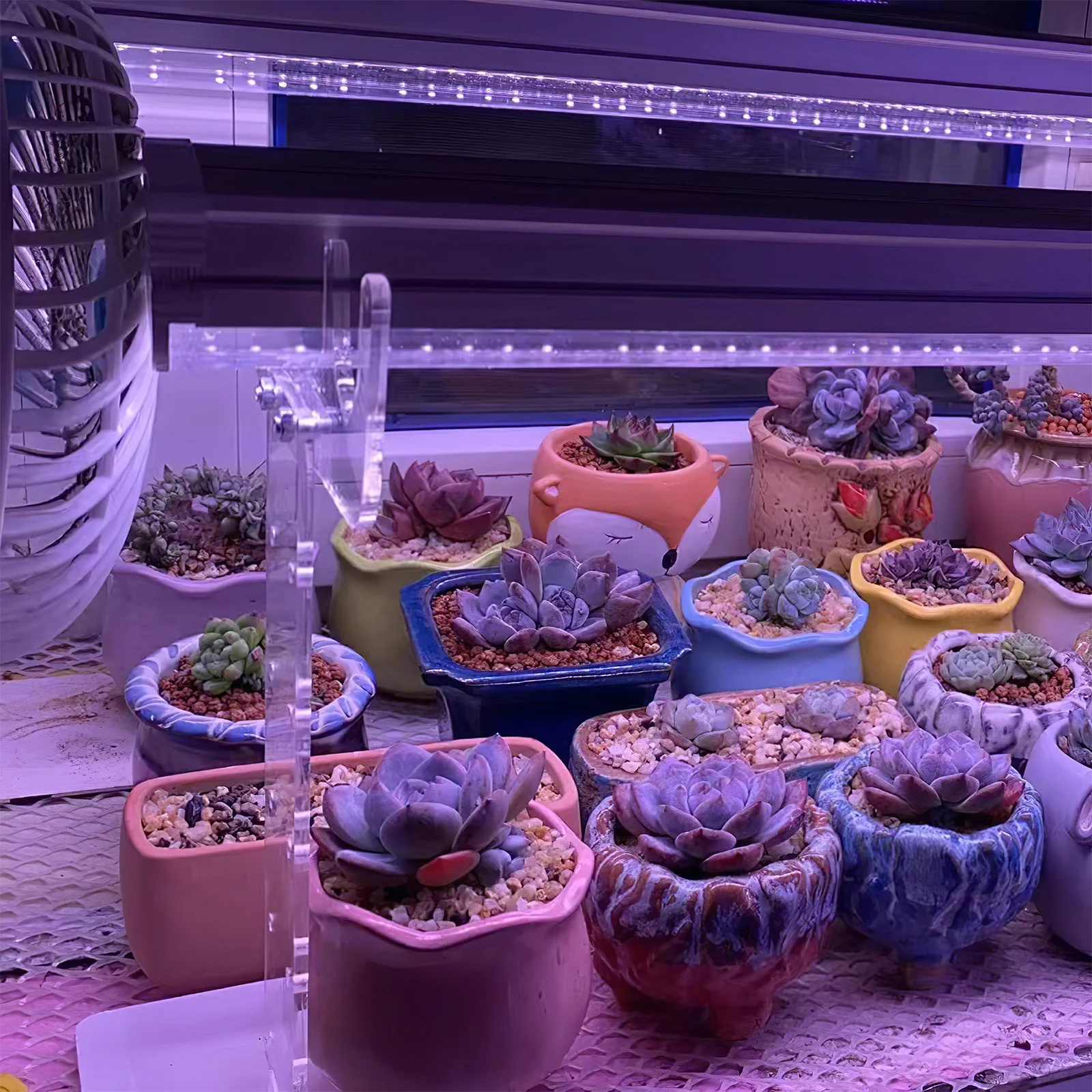 

1Pair Grow Light Acrylic Rack Vertical Stand Durable Plants Lamp Holder Indoor Greenhouse Plant Lights Fixing Rack