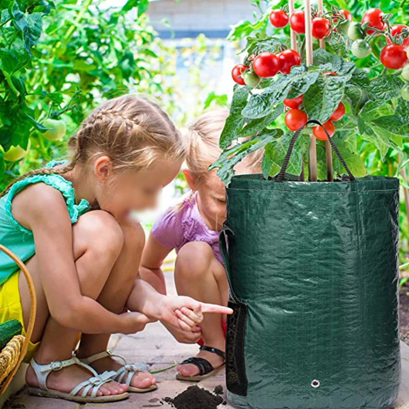 Aeration 5 Gallon Green Fabric Grow Bags Potato Planter with Access Flap Sturdy Handles Heavy-Duty Vegetable Pots