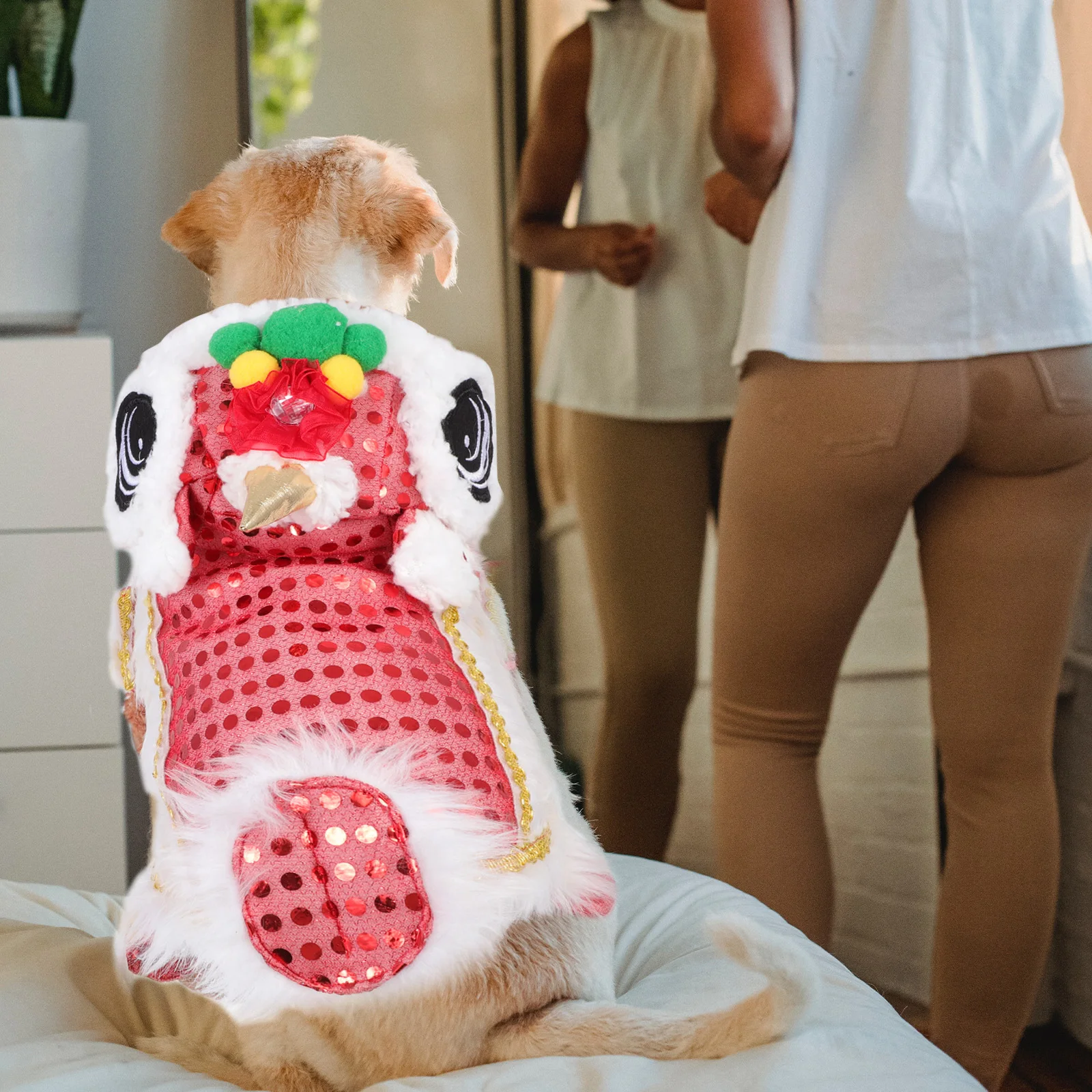 

Dance Lion Dogs New Year Apparel Lovely Apparel Dog New Year Clothes Puppy Clothes Pet Party Clothing Dog Jacket