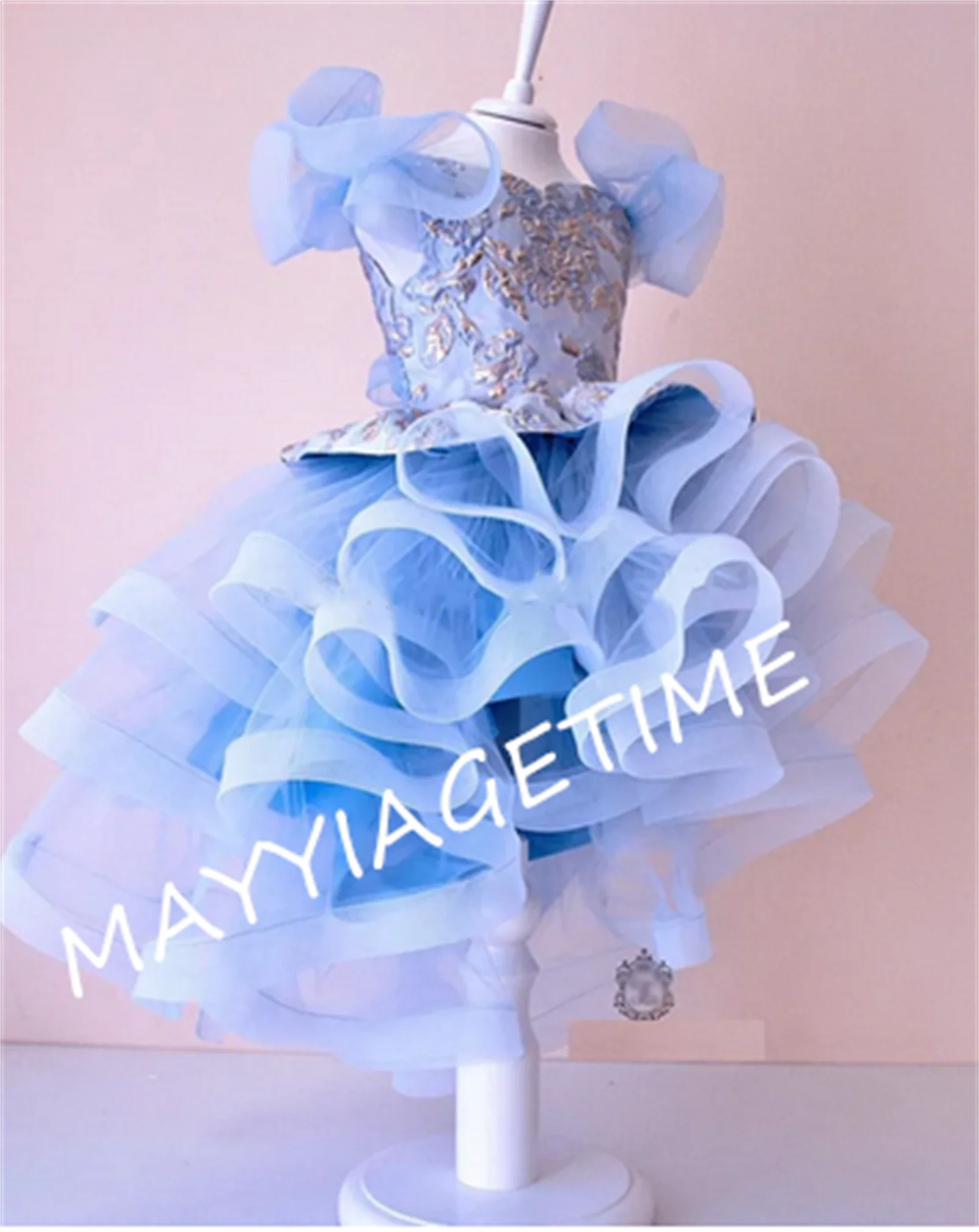 

New Girl's Birthday Party Gown Performance Banquet Dress Flower Girl Dress Pageant Dress Photography