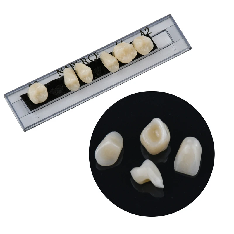 168 stks/doos Tandheelkundige Materialen Prothese Valse Tanden Model Hars Kunstgebit Tandarts Lab Gereedschap