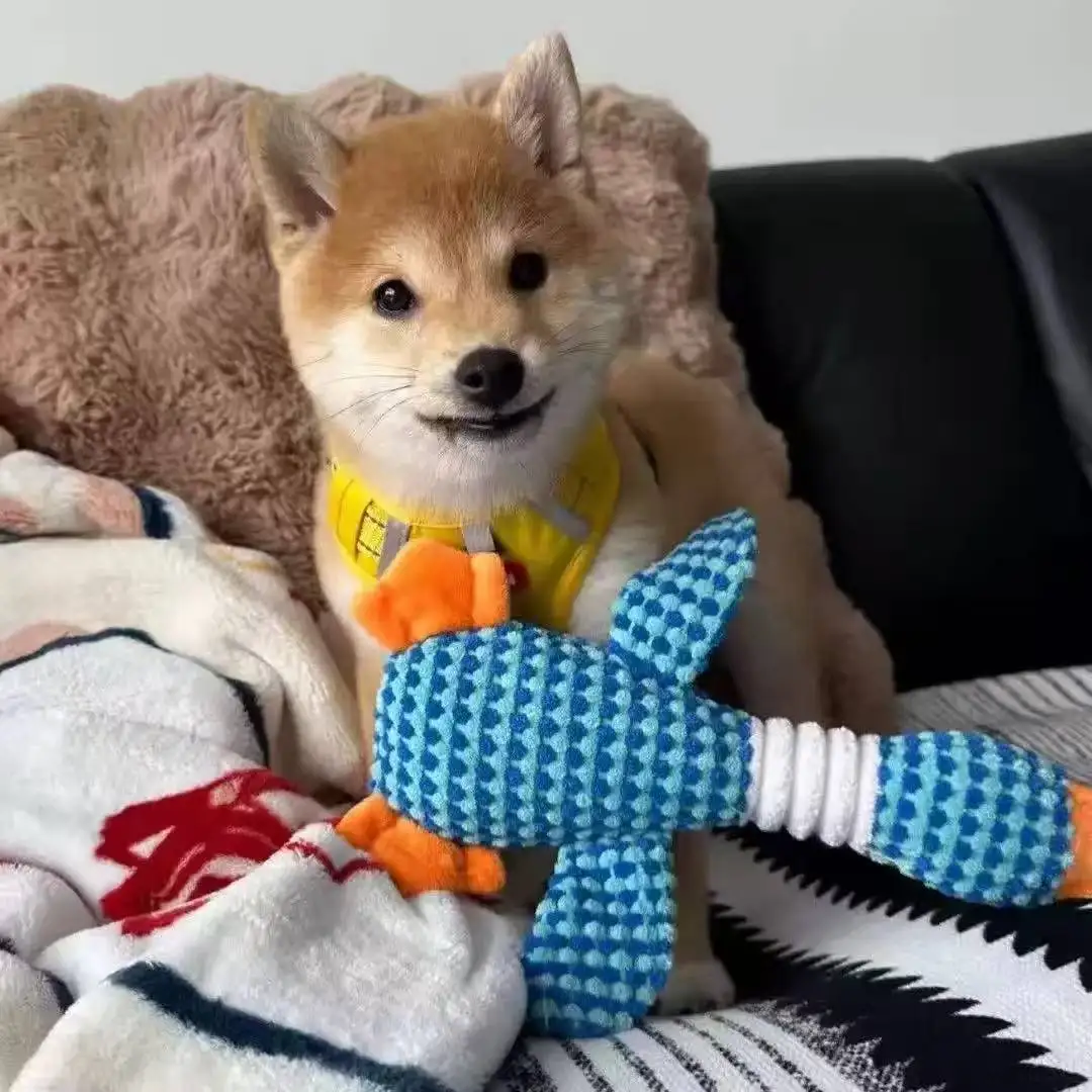Novo Brinquedo de Pelúcia para Pets, Brinquedo Squeaky para Cães, Auto-Entretenimento, Brinquedo de Ganso de Duas Cores