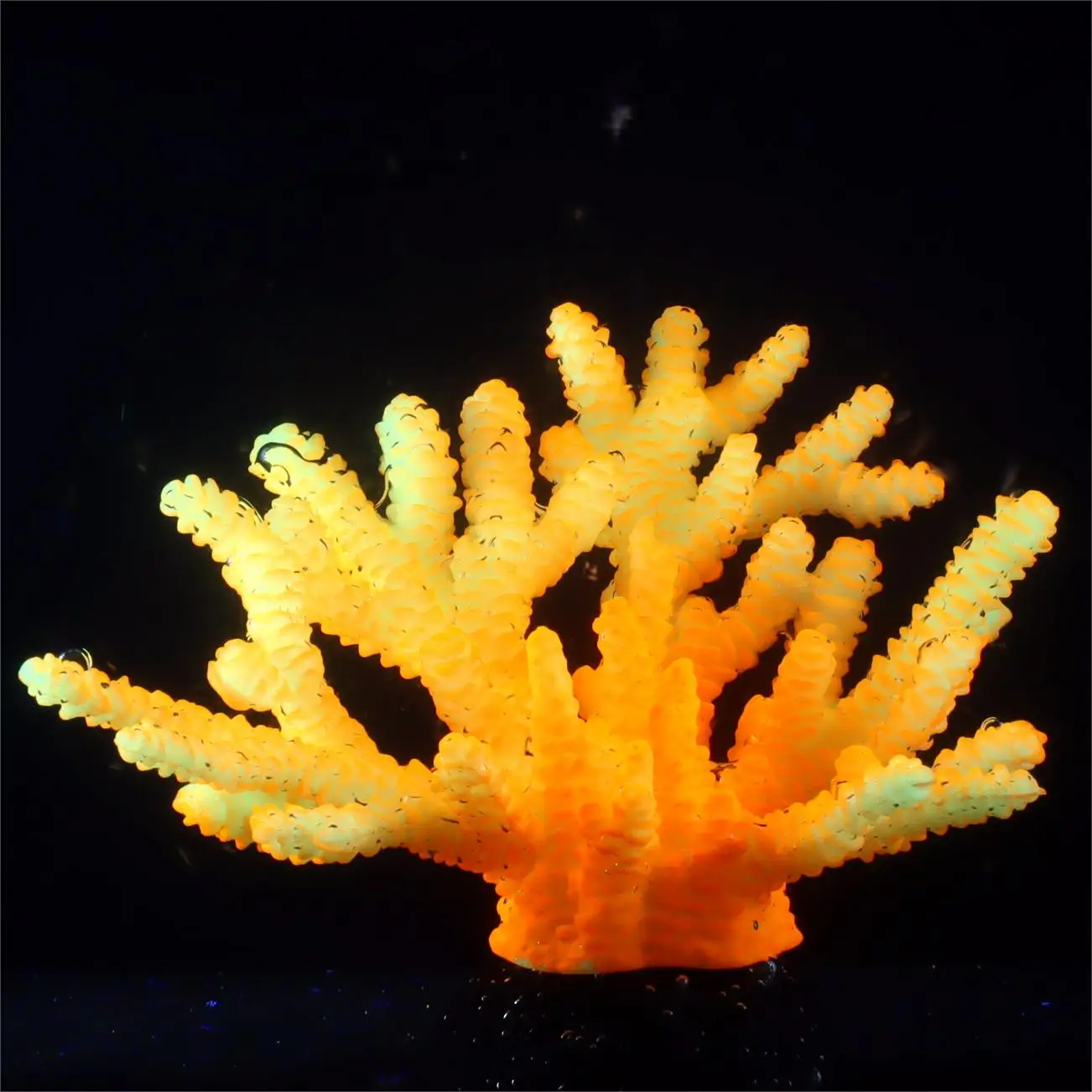 1 pc Fish Tank Decorations Aquarium Decor Plants Fluorescent Staghorn Coral Reef Decor Glowing Fish Tank Decorations Betta Fish