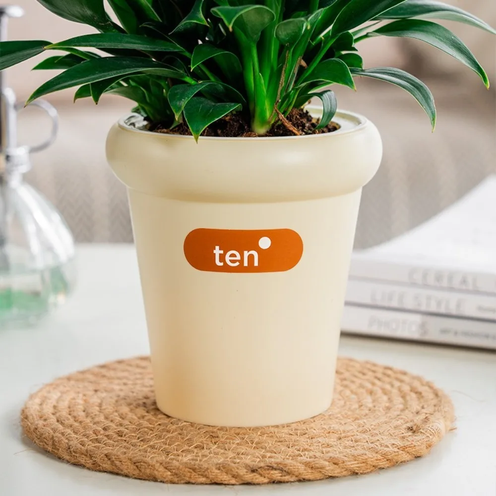 Creative Self Watering Hydroponic Plants Pot Plastic Removable Flowerpot Mini Succulent Planter Tabletop Vase