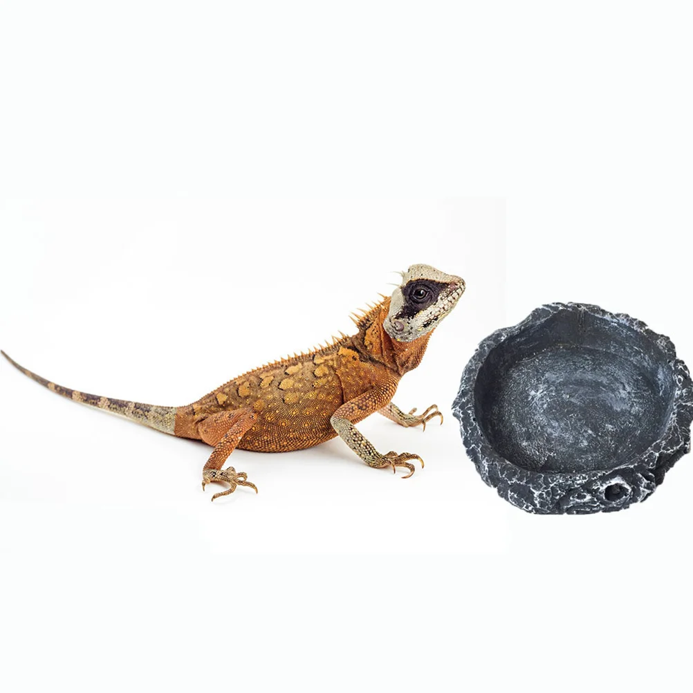 

Reptile Special Basin Synthetic Resin Small Round Grey Dish Lizard Snake Turtle Storage Container Natural Finish Smooth Interior