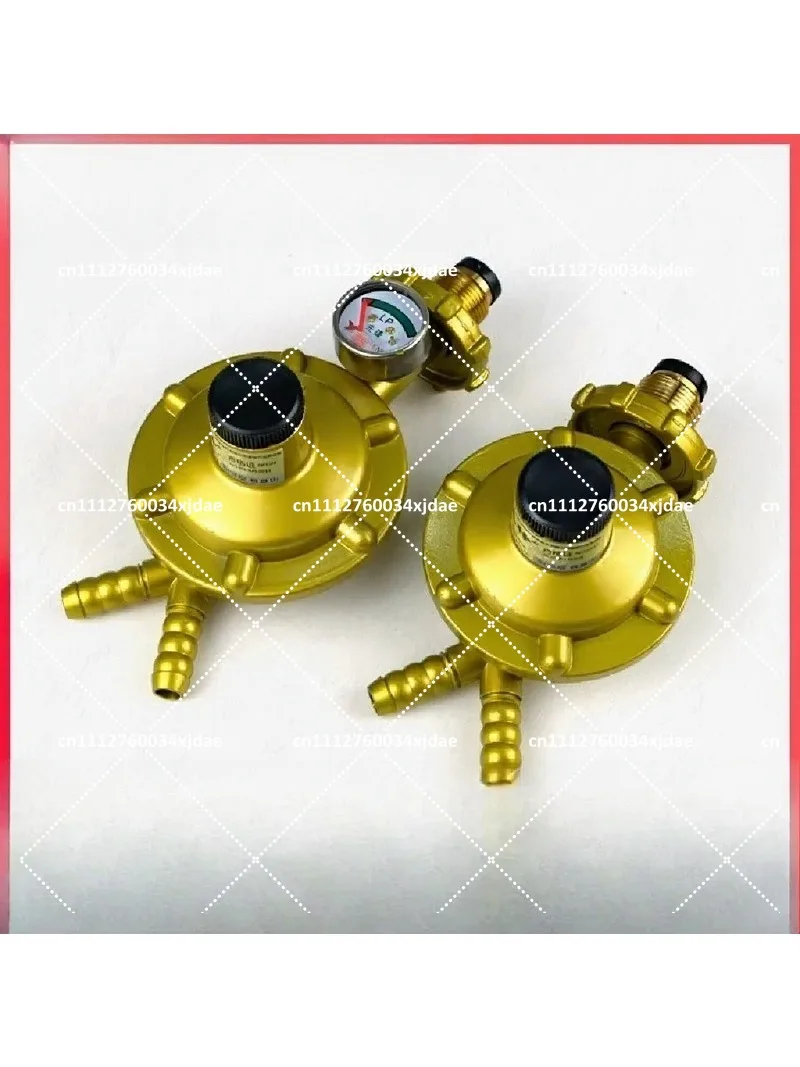 Household 0.6 Double Nozzle Explosion-Proof LPG Pressure Reducing Valve, Cylinder Self-Locking Gas Regulator
