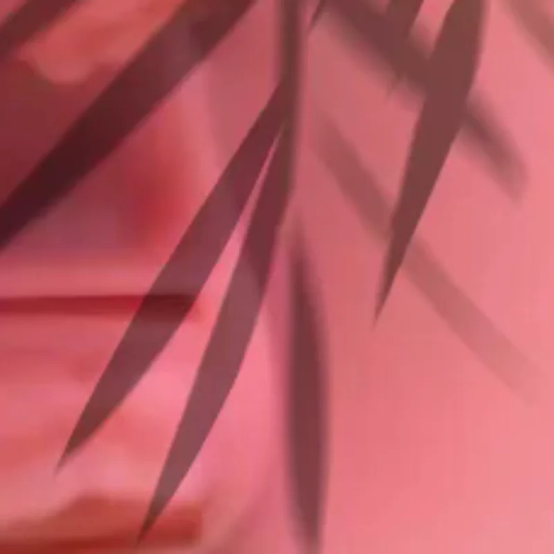 

Стоматологическая десенка, шов на кожу, хирургическая практика, медицинская накладка на шовную кожу, лабораторная модель, силиконовая модель наложения швов при пародонтитах, тренировочный комплект