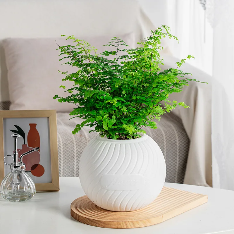 Double-layer Self Watering Plant Pot Transparent Plastic Flower Vase Automatic Lazy Potted Flower Pot