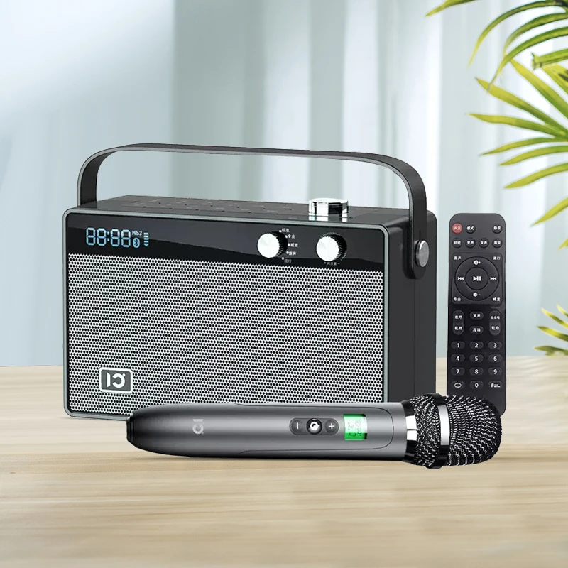 SHIDU T6 Fashion 30W Hifi Sound Bluetooth Live Streaming Portable Wireless Karaoke Speaker With Microphone