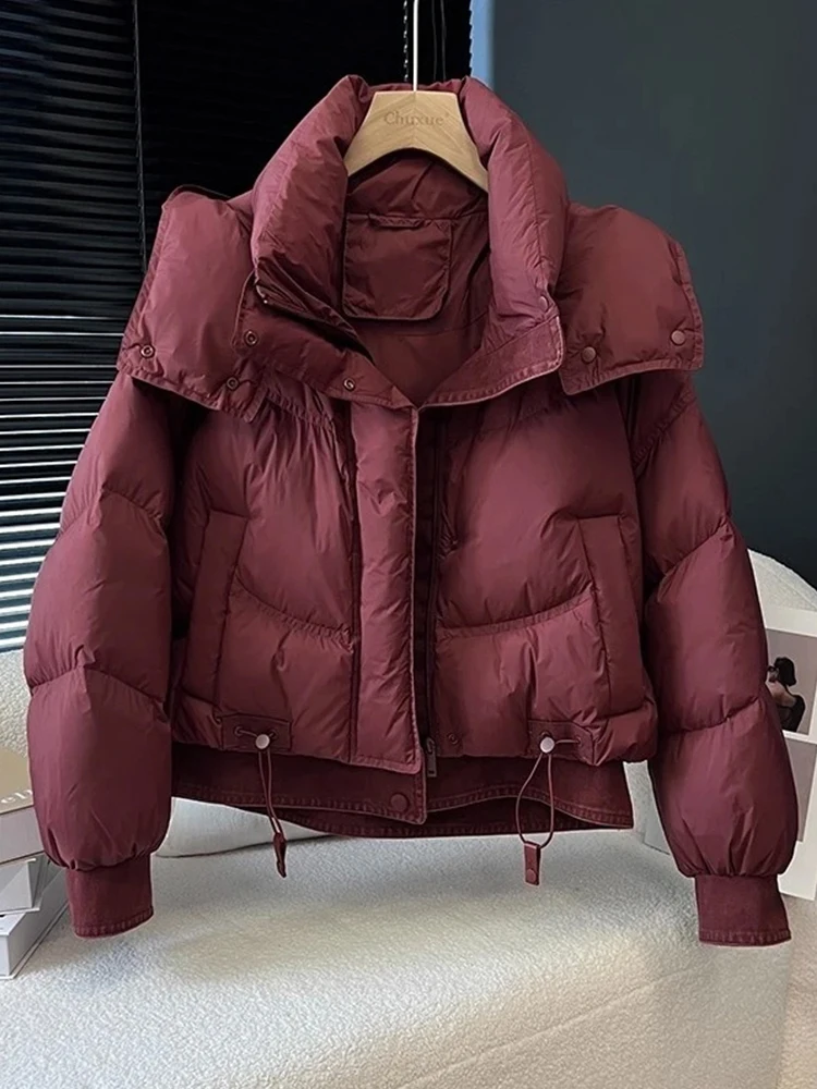 

Женская утепленная хлопковая куртка с капюшоном, зимняя новинка, свободный крой, корейская версия, для повседневной носки, на молнии