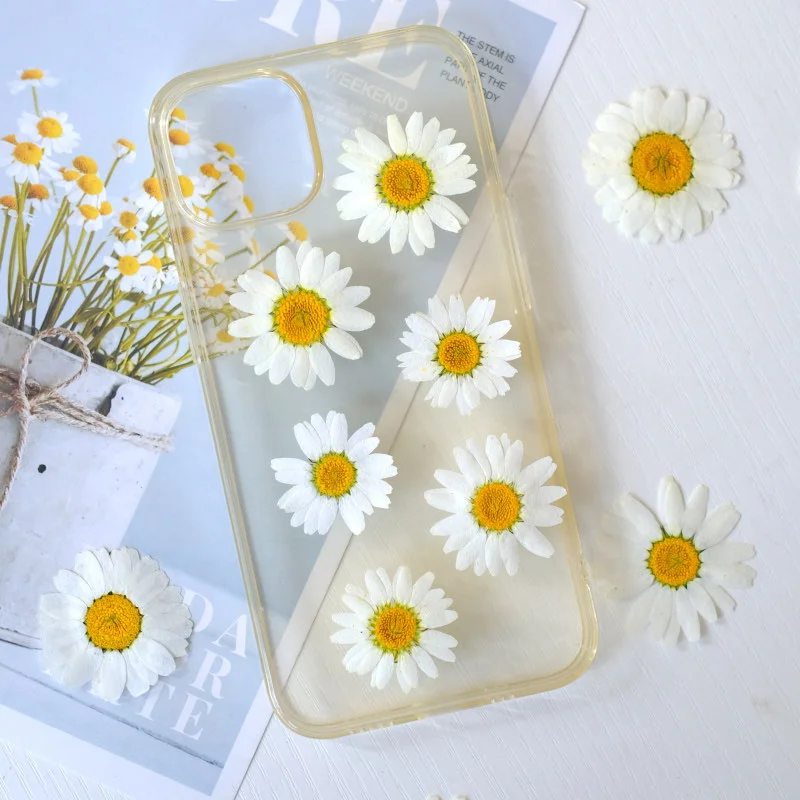 100Pcs Natural White Crystal Chrysanthemum Daisy Flower Pressed Flowers DIY Greeting Card Bookmark Resin Accessories Fragrance Candle Materials Pressed Dried Leaves Real Flowers