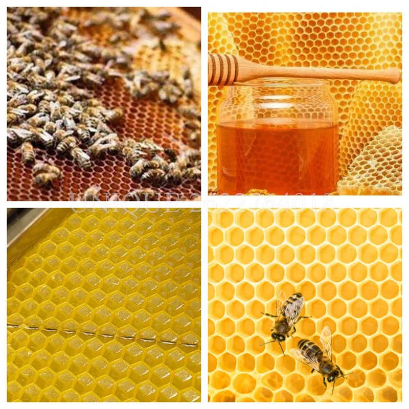 Commercial Manual Bee Wax Beeswax Comb Foundation Sheet Roller Machine Beeswax Stamping Machine Beeswax Stamper Equipment