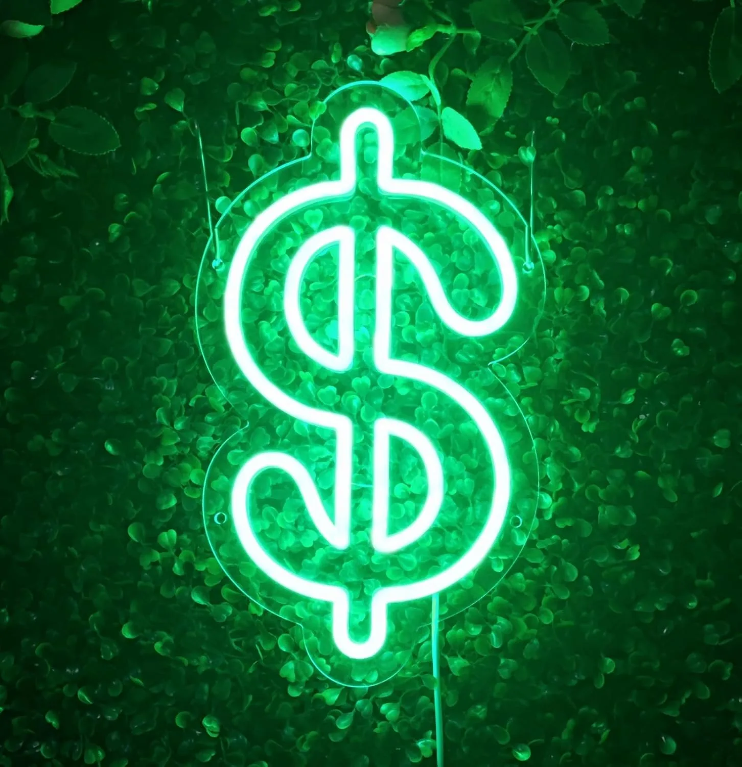

Светодиодная неоновая вывеска Green Dollar в виде денежных купюр, идеальное украшение для стен в баре, спальне, на вечеринке и для тематического декора стен в стиле денег, 11,9 × 7 дюймов