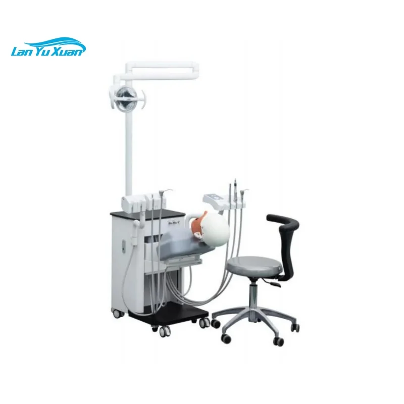 Electric Simulation Human Oral Simulation Teaching Trainer and Other Scale  Medical Teaching Model