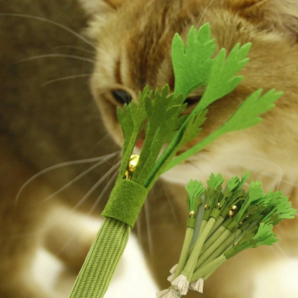 2 stücke Katze Kauen Spielzeug Biss Beständig Interaktive Kätzchen Zähne Reinigung Spielzeug Katze Teaser Training Sound Spielzeug Pet Liefert 2025