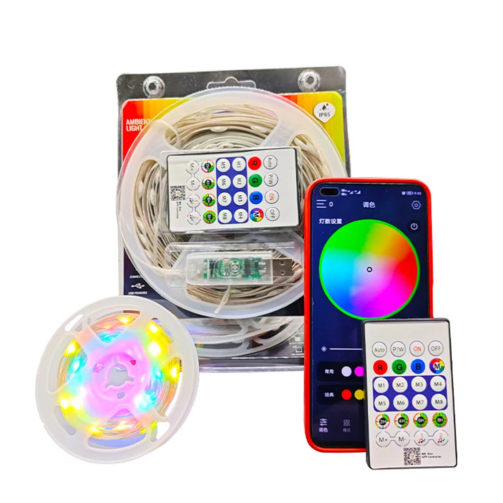 5V USB 10M 100LEDs Colorful LED Light Voice Controlled Bluetooth APP Mobile Control with Remote Control Camping Christmas Light