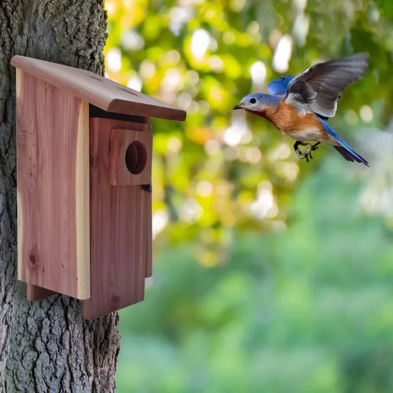 

Best.1 Pack Upgraded version Red Cedar Bluebird Wild Bird House.Innovative