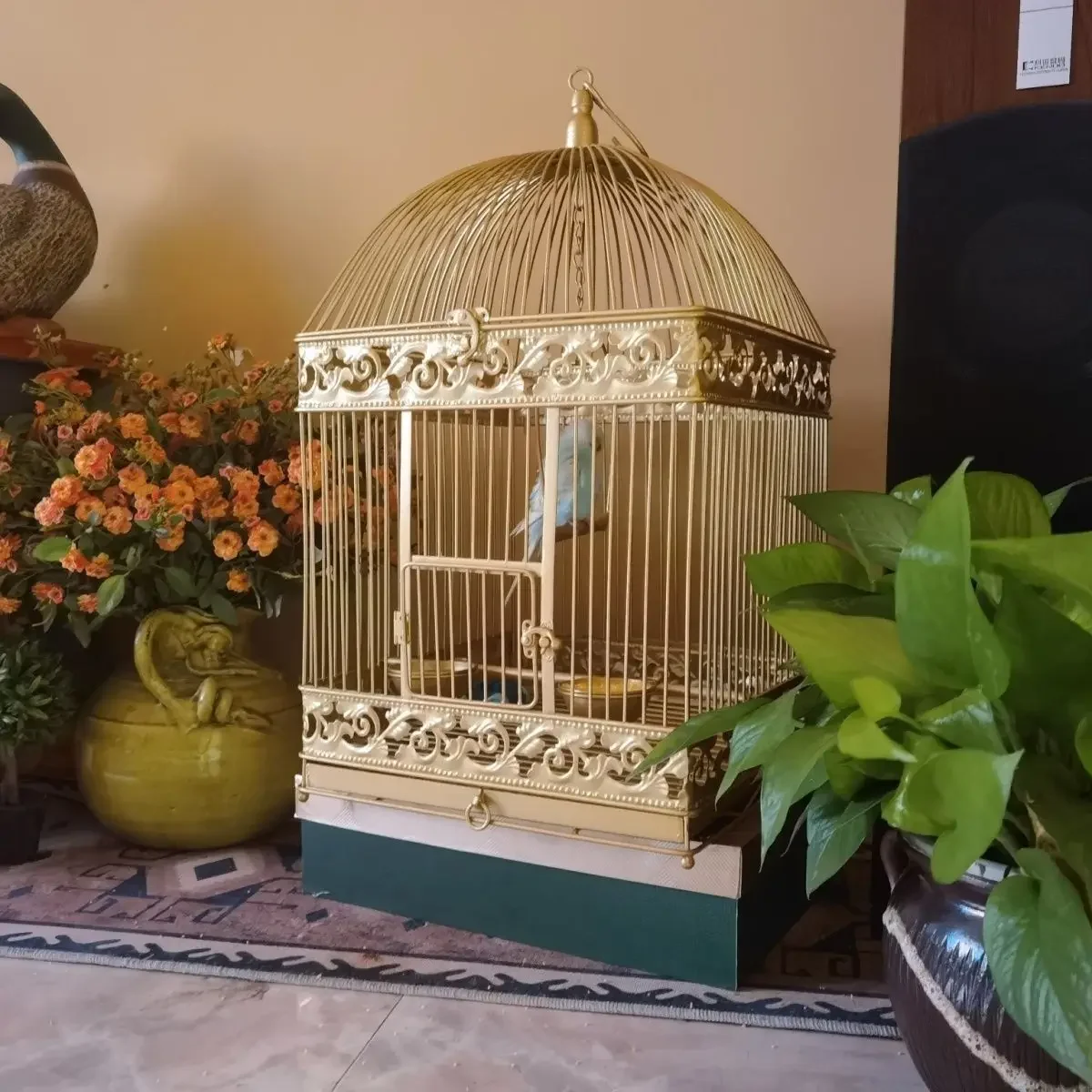 European wrought iron retro parrot bird cage large, starling yellow bird Xuanfeng peony pigeon breeding support