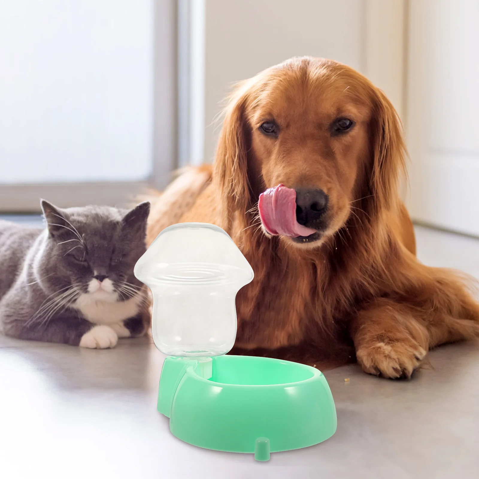 

1 Set Transparent Dog Water Feeder Large Capacity Automatic Cat Drinking Fountain Durable Plastic Pet Water Bowl Easy Clean Safe