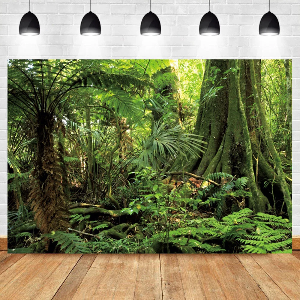 Laeacco الأخضر الغابة الغابات المطيرة الغابات الاستوائية شجرة شجيرة المشهد الطبيعي التصوير خلفية خلفية صور دعوة استوديو الصور