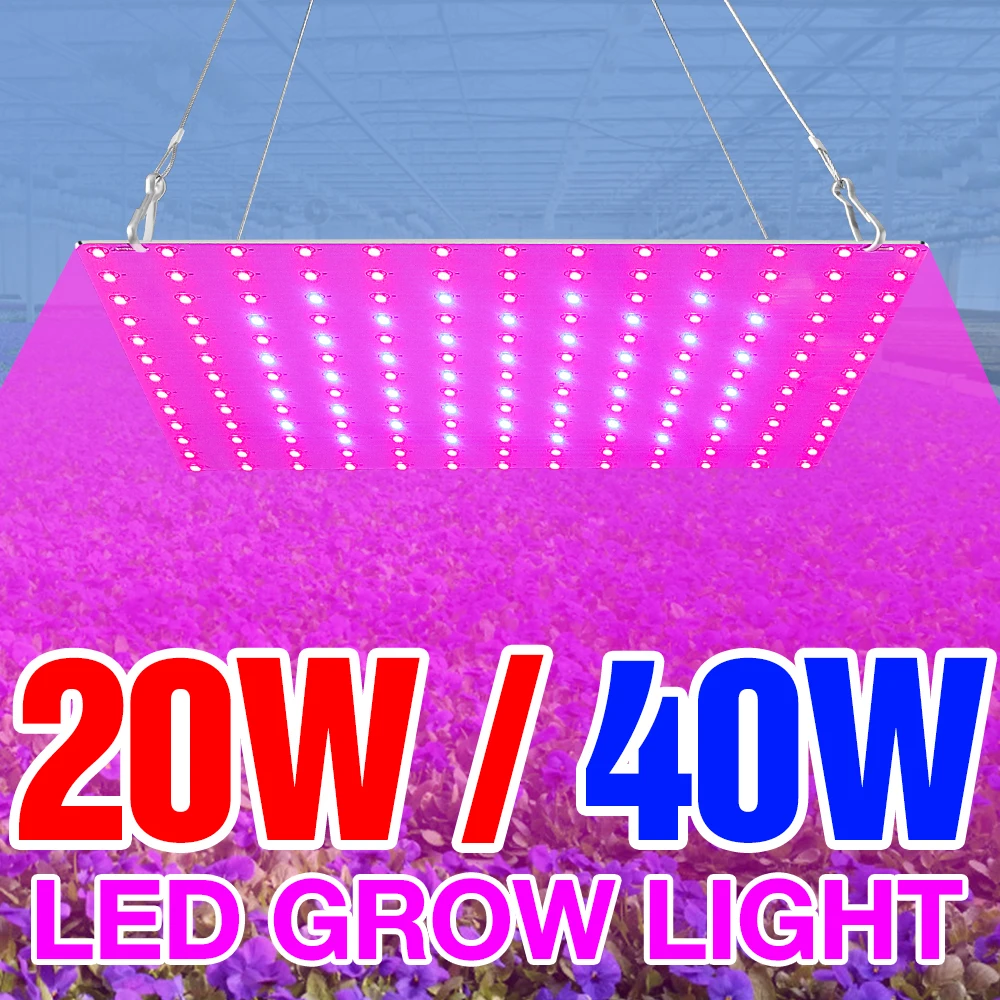 

Full Spectrum Led Grow Light Greenhouse Phyto Lamp Quantum Board Indoor Phytolamp For Vegetable Flower Seedling Grow Tent Box