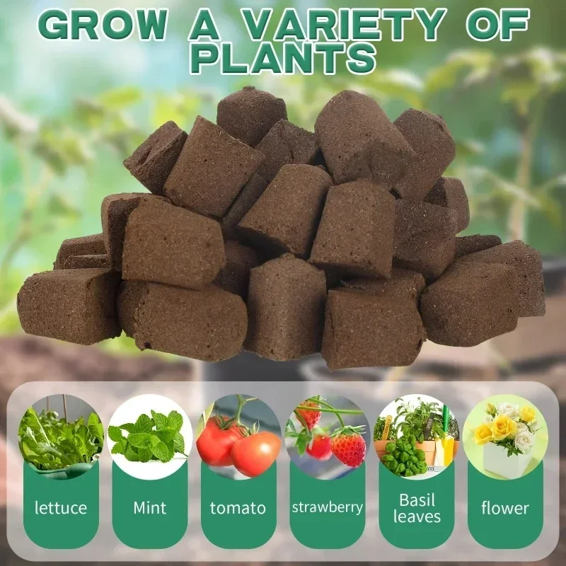 Seedling Starter Sponge Kit for Hydroponic Indoor Garden Systems, Featuring Growth Sponges, with Seed Pods Replacing Root view 4