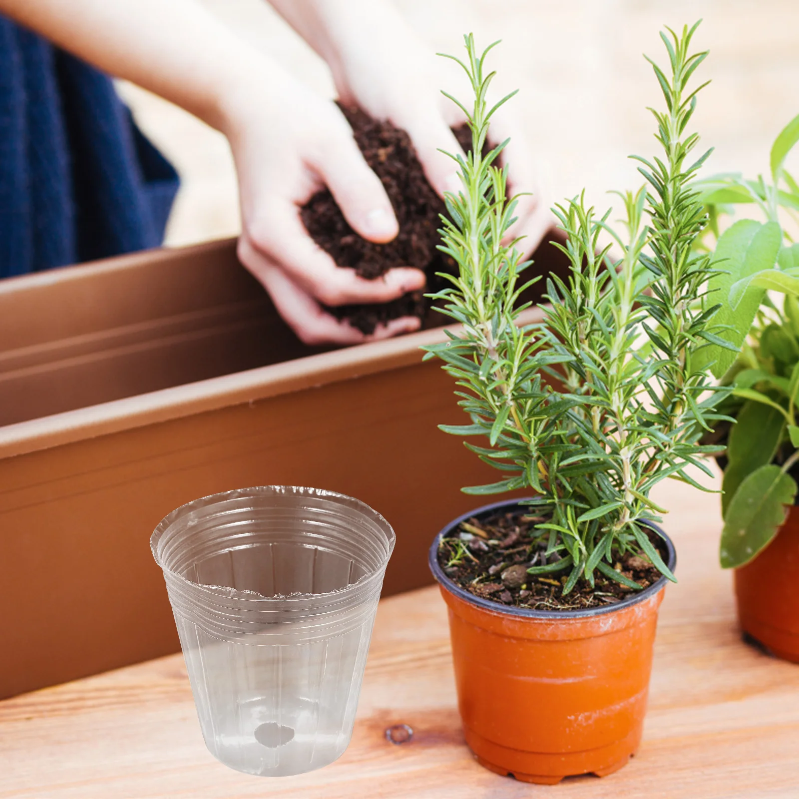 

50 Pcs Nursery Cup Clear Planter Pot Indoor Pots Outdoor Flower Pp Plastic Orchid