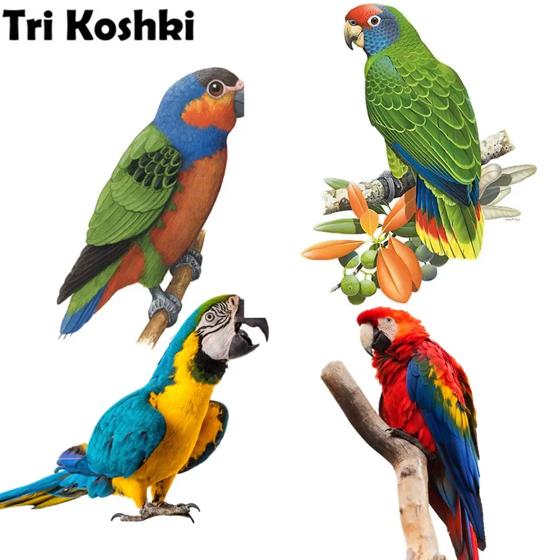 

Tri koshki RC027 Animal Bird Colorful Parrot Family Wall Sticker Waterproof PVC Decoration Door Living Room Kids Room