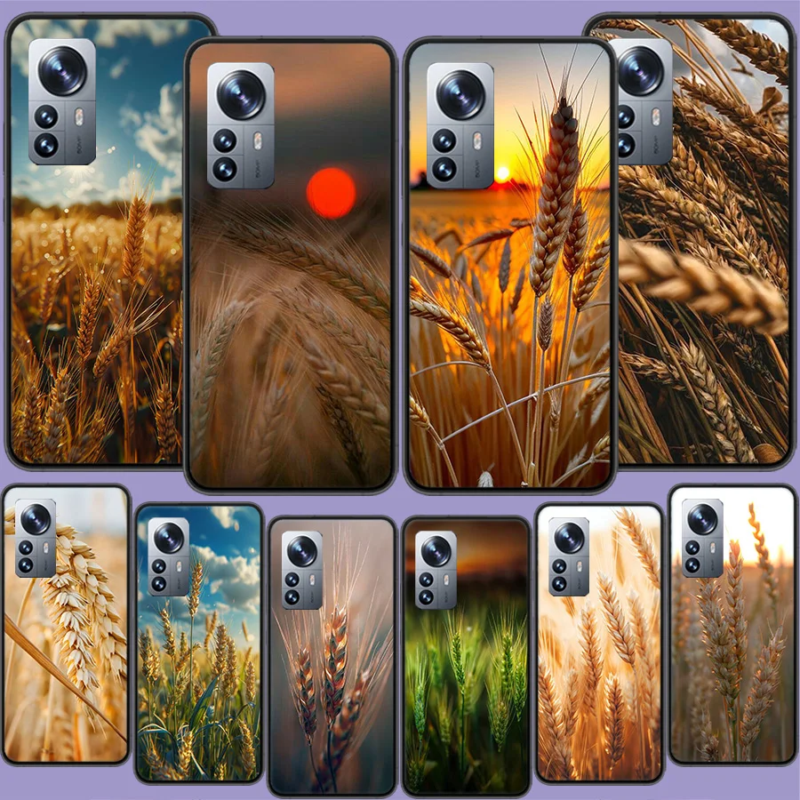 Mature Wheat Grains Phone Case For Xiaomi Poco X3 NFC X4 GT M3 M4 M5 M5S X6 X5 F6 Pro F5 F4 Mi F3 F2 F1 Cover TPU Capa Coque Cle