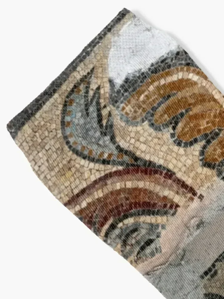 Roman mosaic preserved in Aix-en-Provence cathedral Socks new year anti-slip gifts hiphop Woman Socks Men's