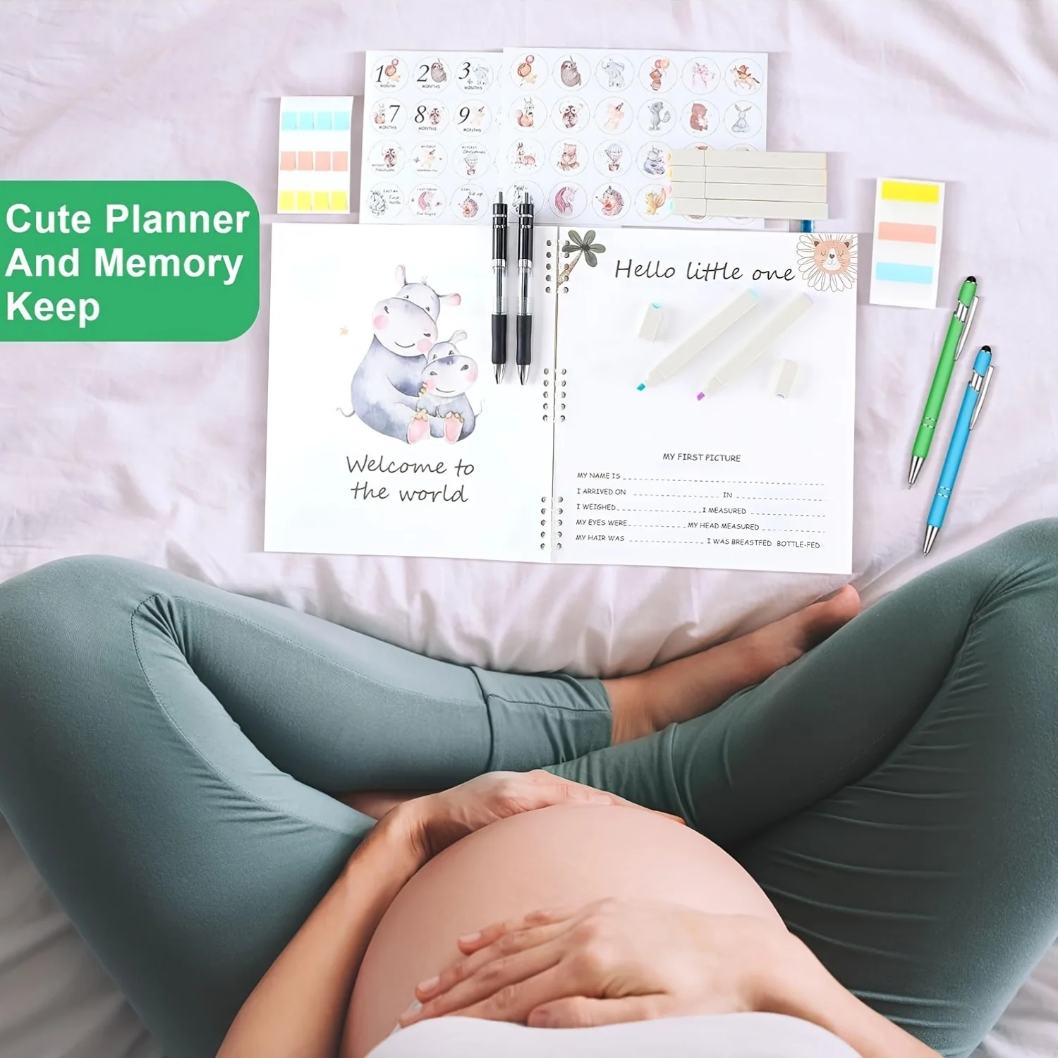 Pregnancy Baby Memory Journal 5